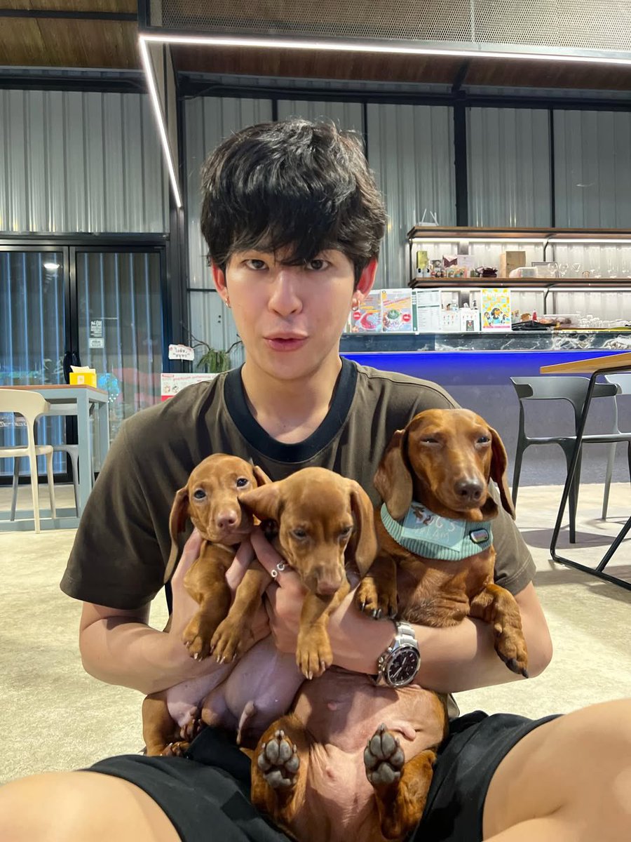 Trend for MarkOhm tweet media