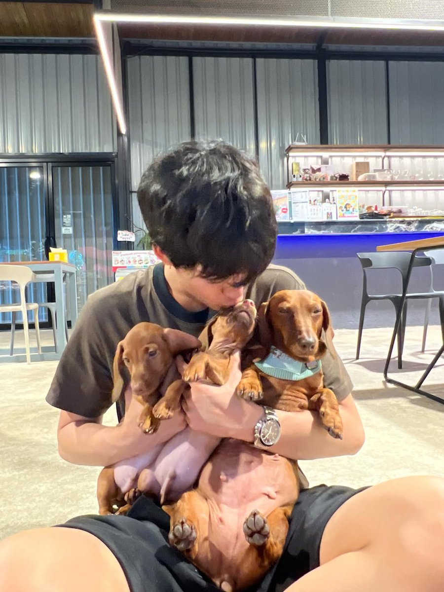 Trend for MarkOhm tweet media