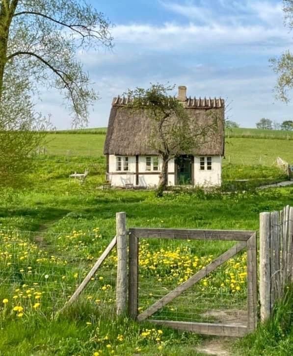 Mountain Cabins tweet media