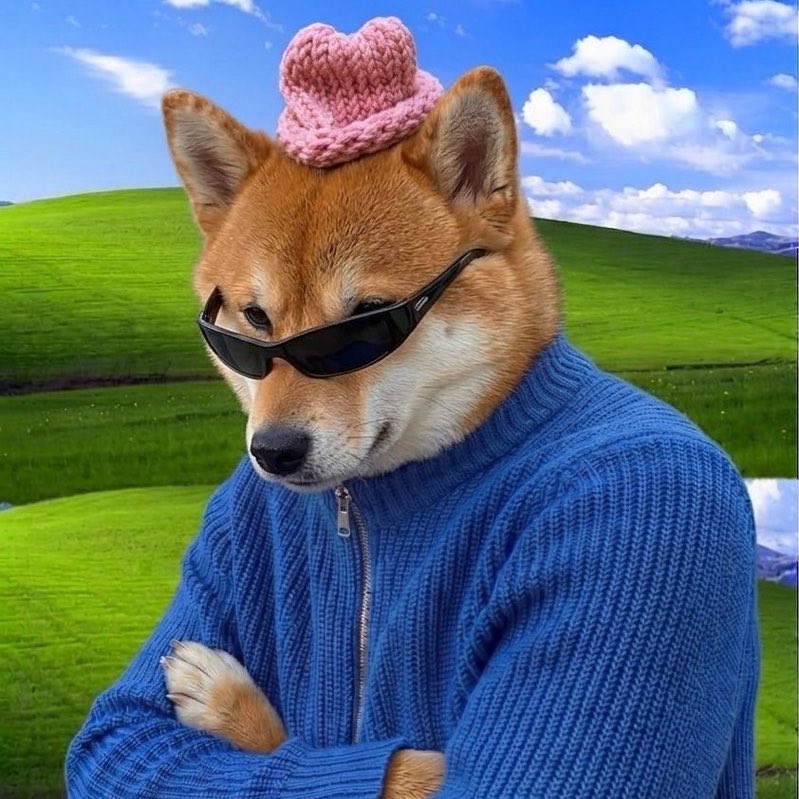 Mr Alan Official tweet media