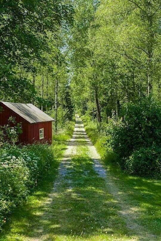 Mountain Cabins tweet media