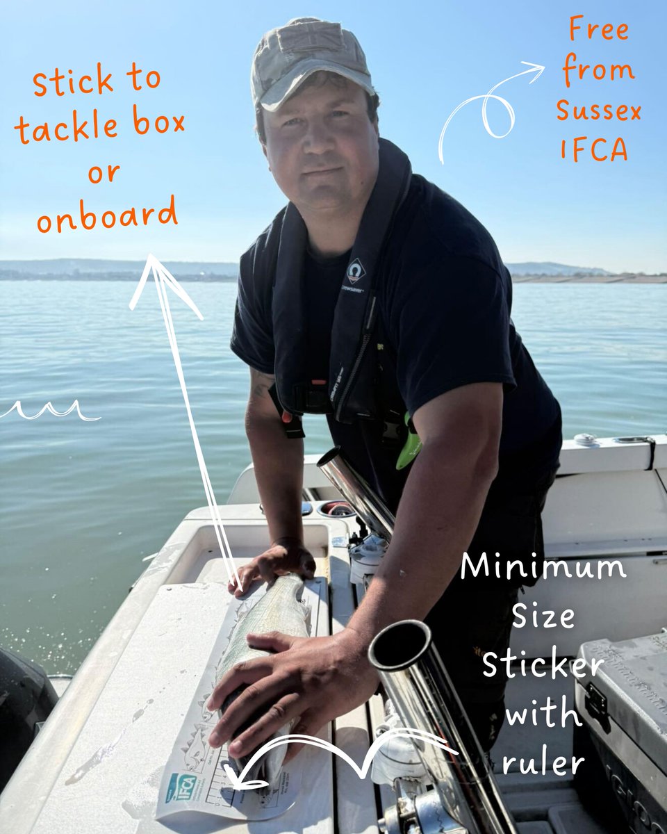 sussex_ifca's tweet photo. Minimum Size Byelaw – #Sussex
Angler Ben uses the @sussex_ifca  minimum size sticker to check legal catch sizes for species like bass, plaice &amp; bream.
🐟 Helping protect fish stocks &amp; support #sustainablefishing.
📍 Free in tackle shops (link in bio)

#Sussex_IFCA #MinimumSize https://t.co/PaH4pZCSTv