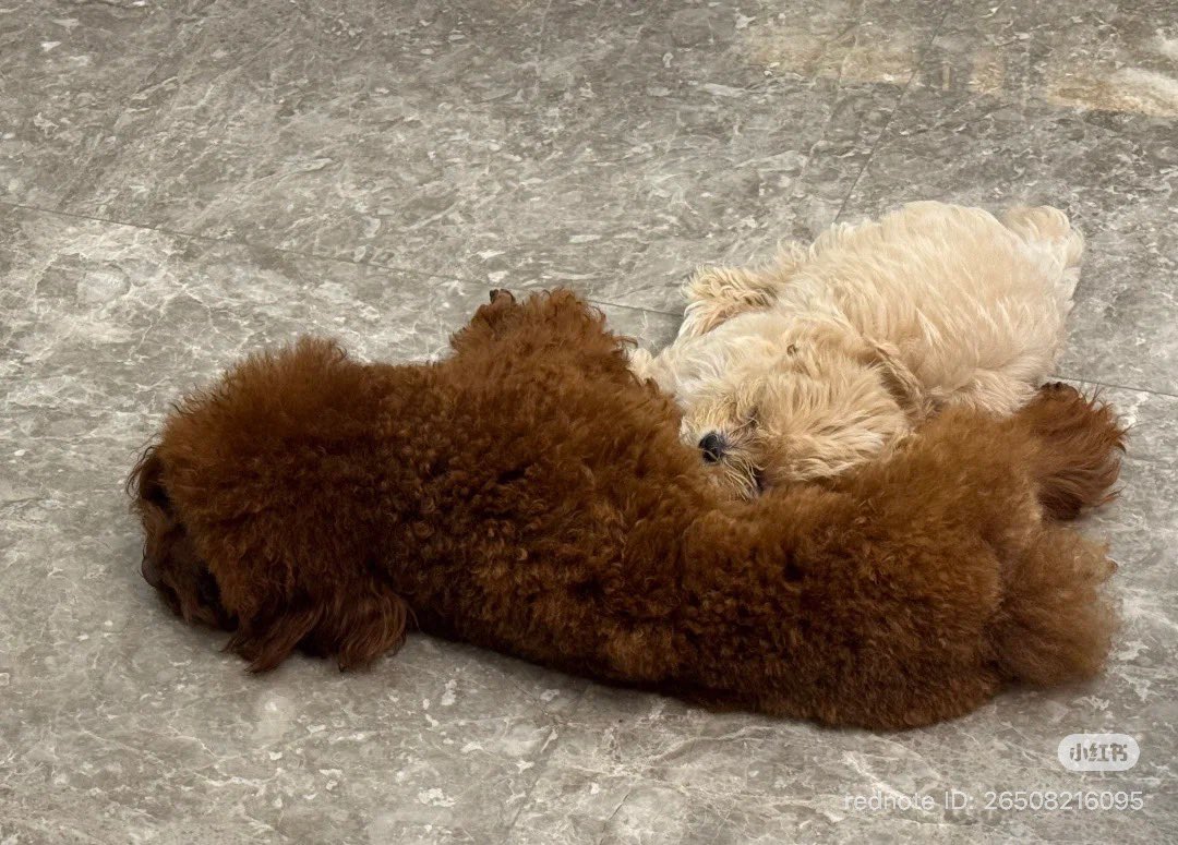 OCEAN JIANG TH (#slow) tweet media