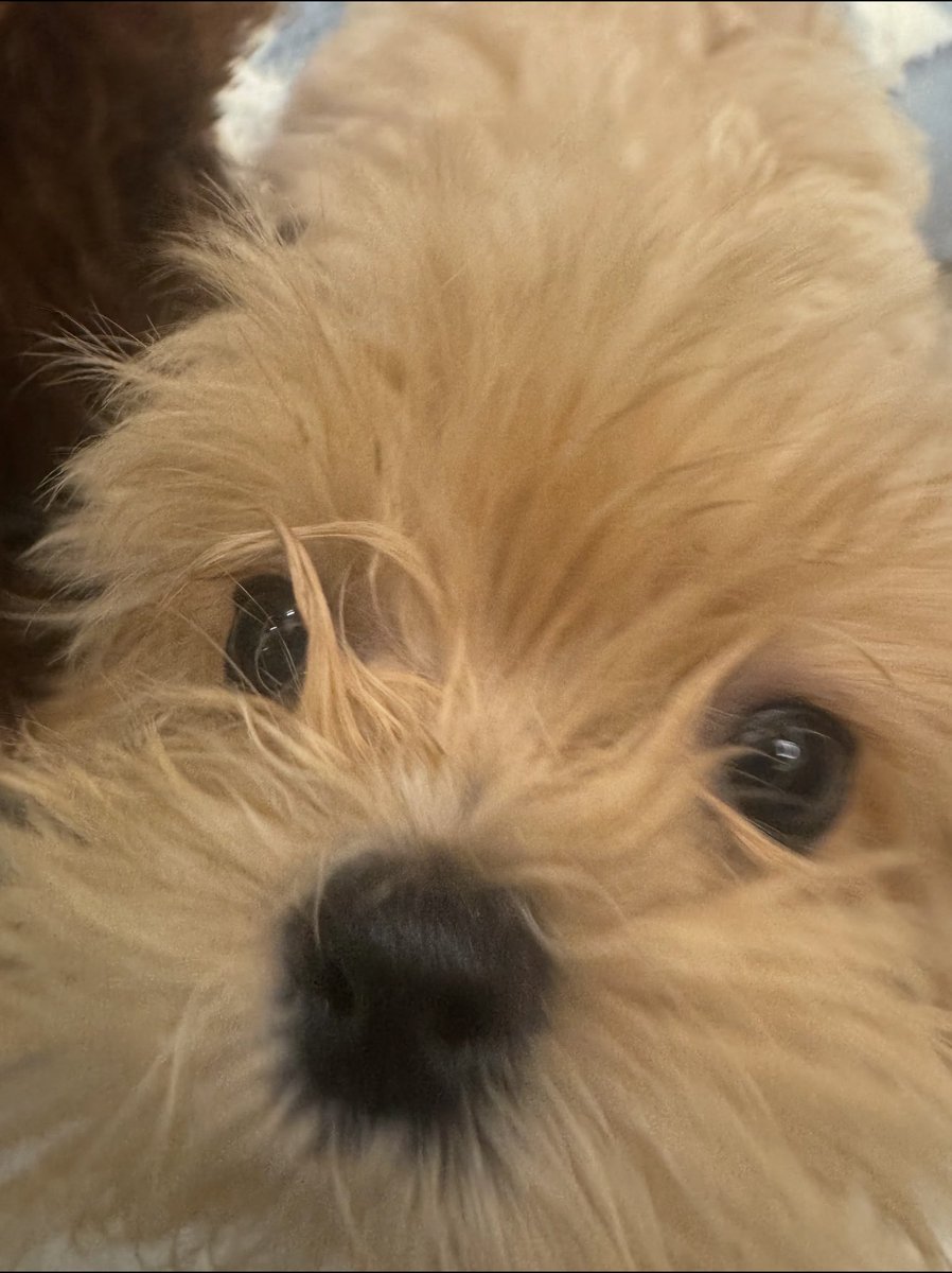 OCEAN JIANG TH (#slow) tweet media