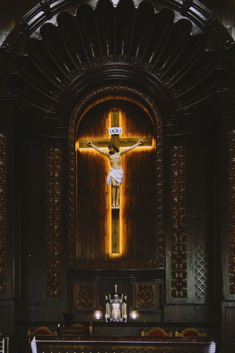 𝚕𝚒𝚝𝚝𝚕𝚎 𝚘𝚗𝚎 ♱🇻🇦 tweet media