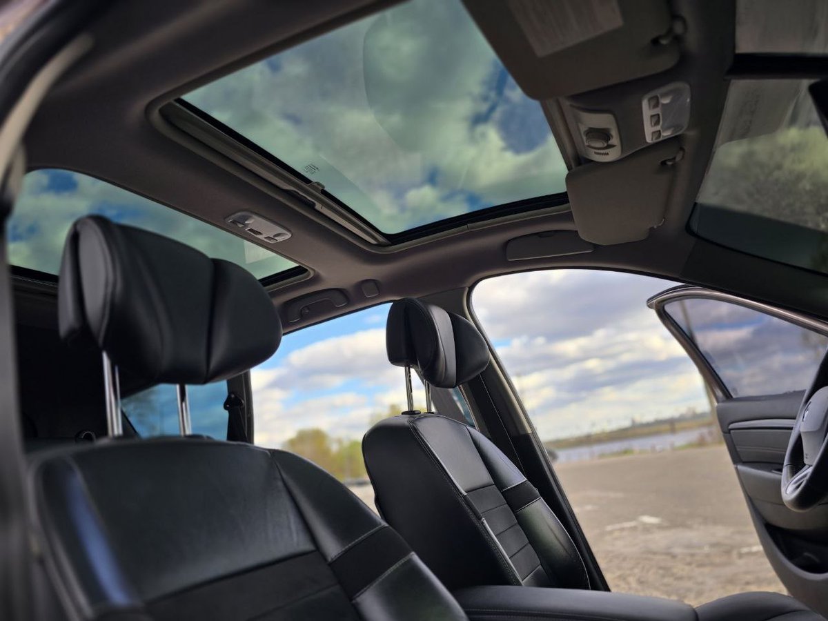 Троєщинський Котоведмідь tweet media