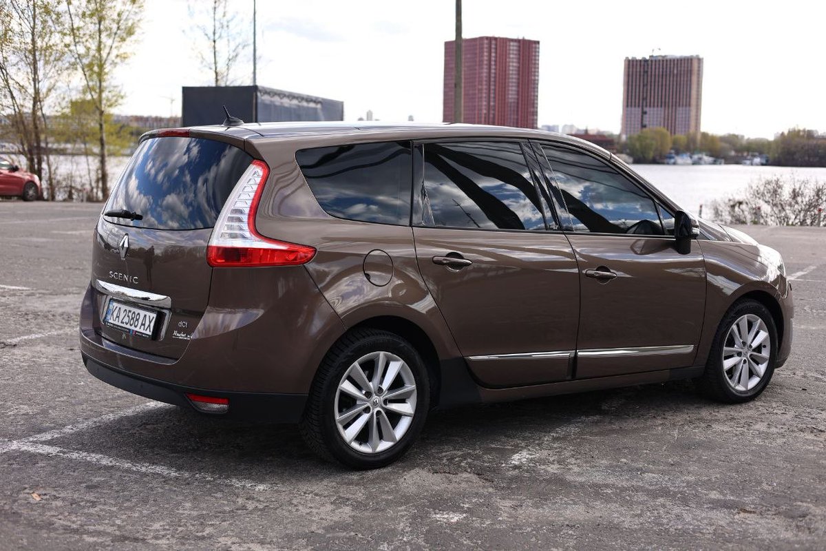 Троєщинський Котоведмідь tweet media