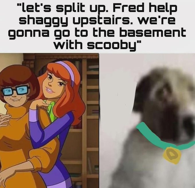 RealestMemes tweet media