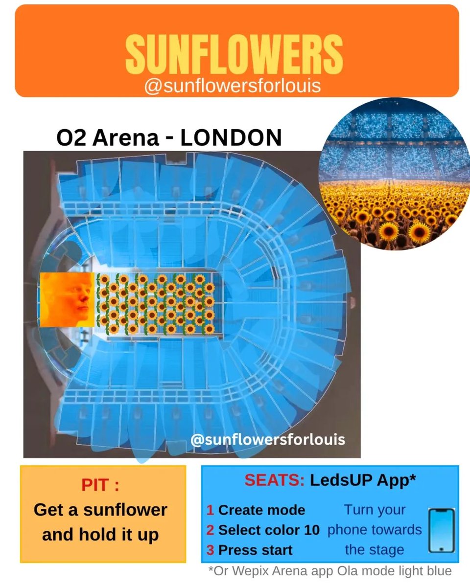 OT5DTour's tweet photo. Another fan project planned for the London show for Sunflowers, Lucid and Defenceless! 

Find out more about it on IG: louishdwghlondon, sunflowersforlouis and faithinthelou

#HDWGHLondon
#HDWGHWTLondon 

via @SunflowersforLT https://t.co/qsVjSeURaC