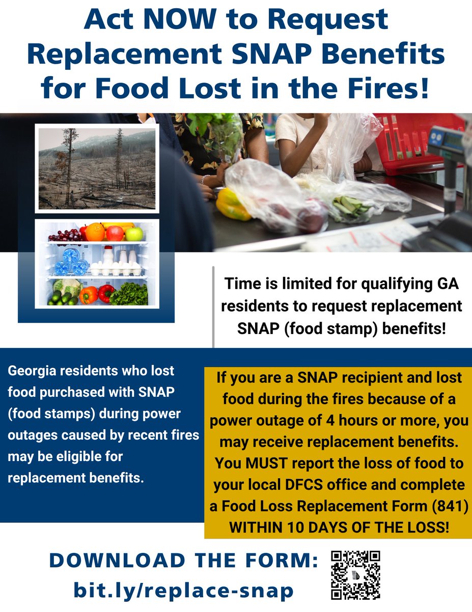 Georgia Legal Services Program tweet media