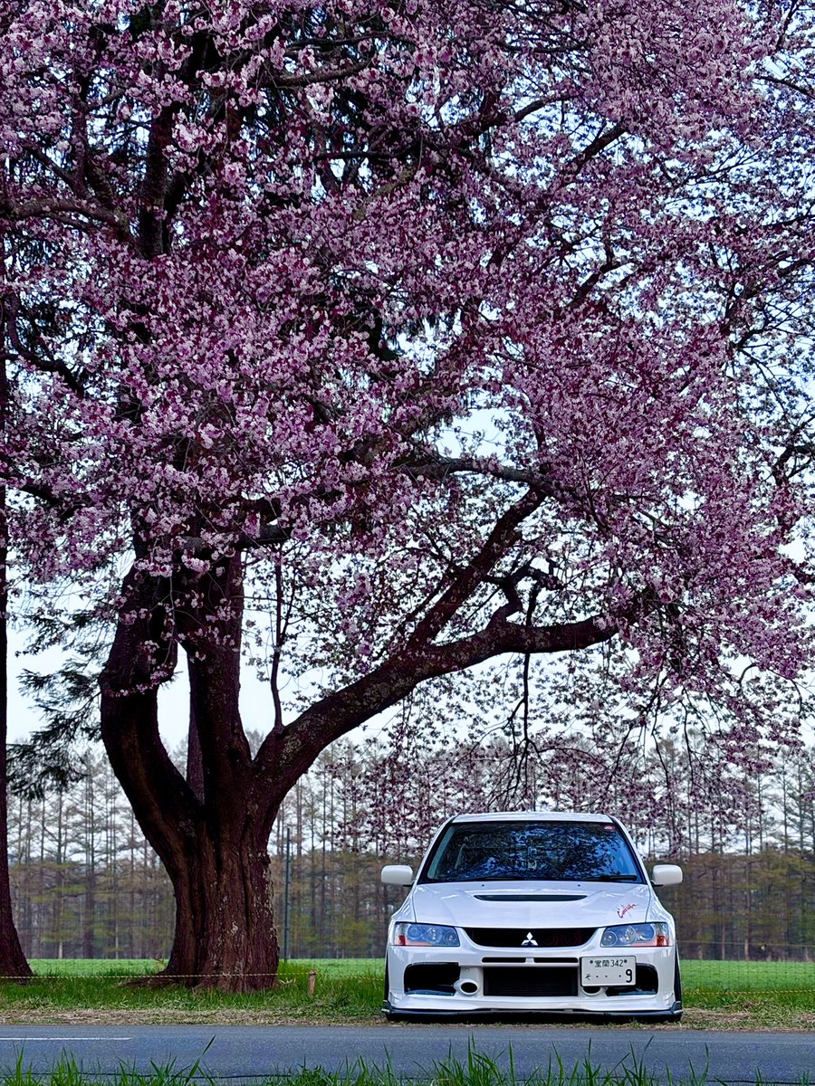 Noire（ノワール） tweet media