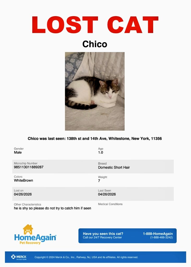 🌻Samson Cat🐱 tweet media