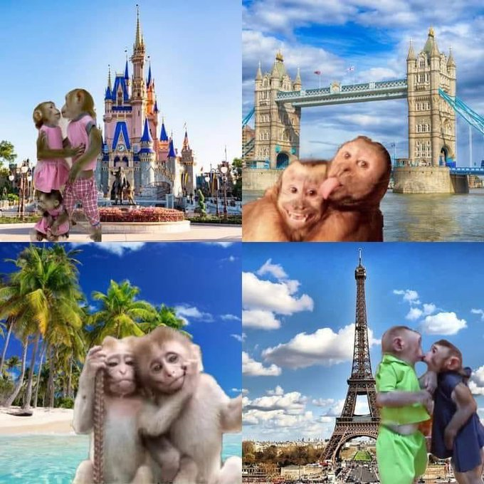 Frases Barbie tweet media