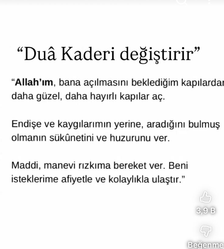 kitab-ül Sevda tweet media