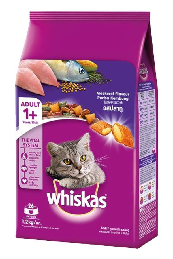 swastamitar's tweet photo. "Oh iya, ini ada terang bulan sama makanan buat tole." Kucing... kucing... mau uwel-uwel kucing... https://t.co/ZS4raPy5nB