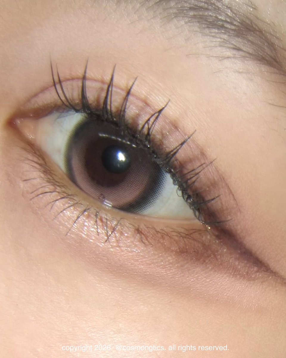 커몽이 tweet media