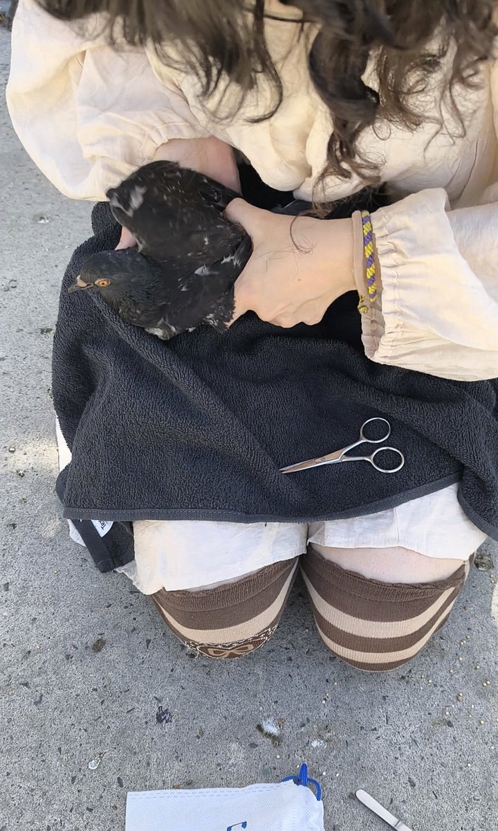 Riri Pipsqueak 🐀 tweet media