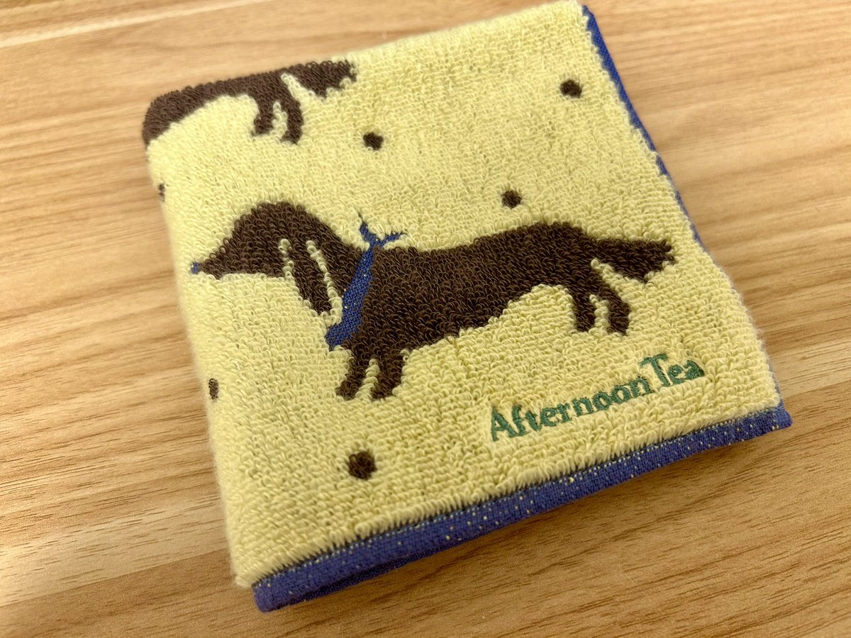 笹川 茉衣（mai sasakawa） tweet media