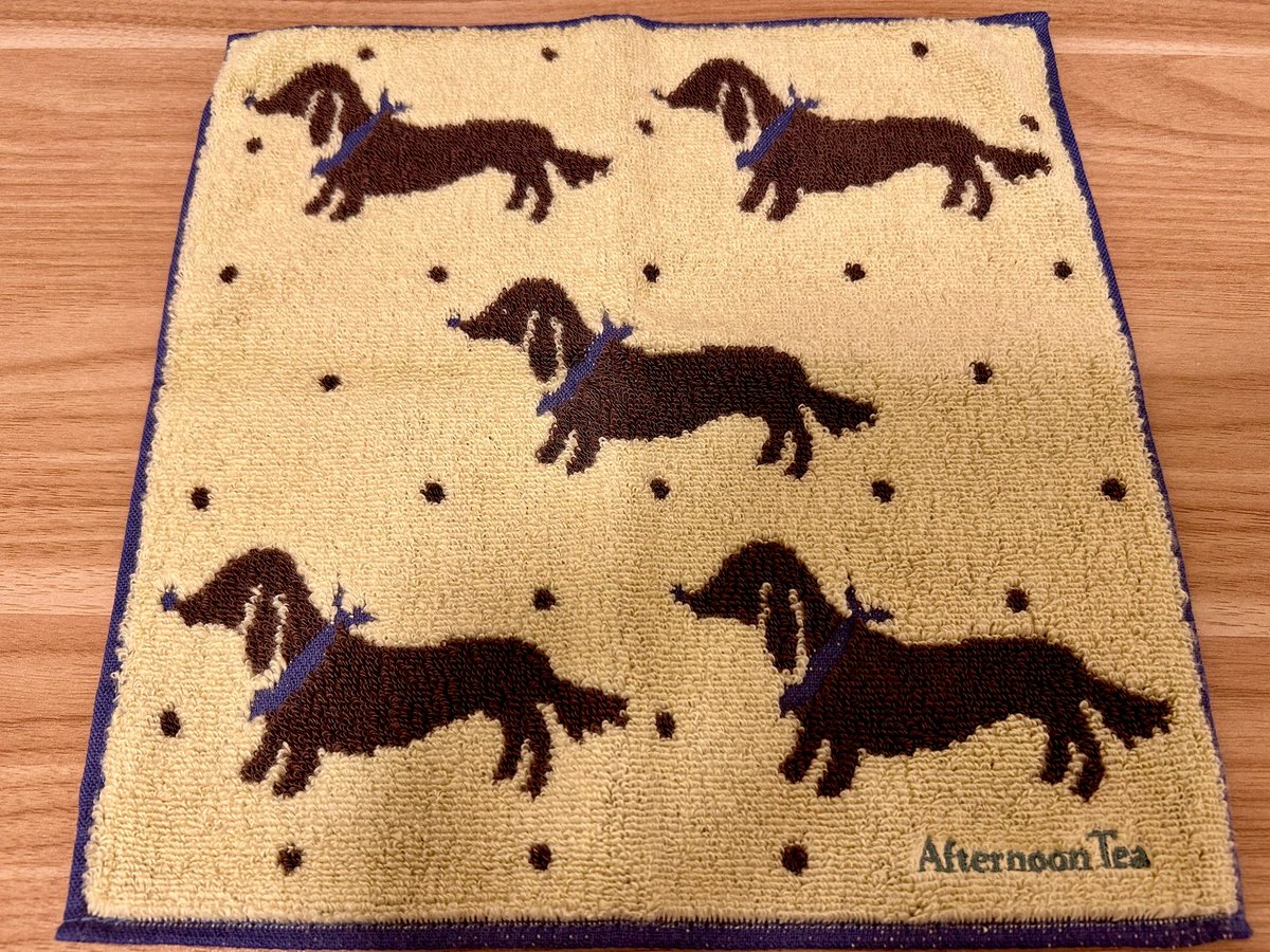 笹川 茉衣（mai sasakawa） tweet media