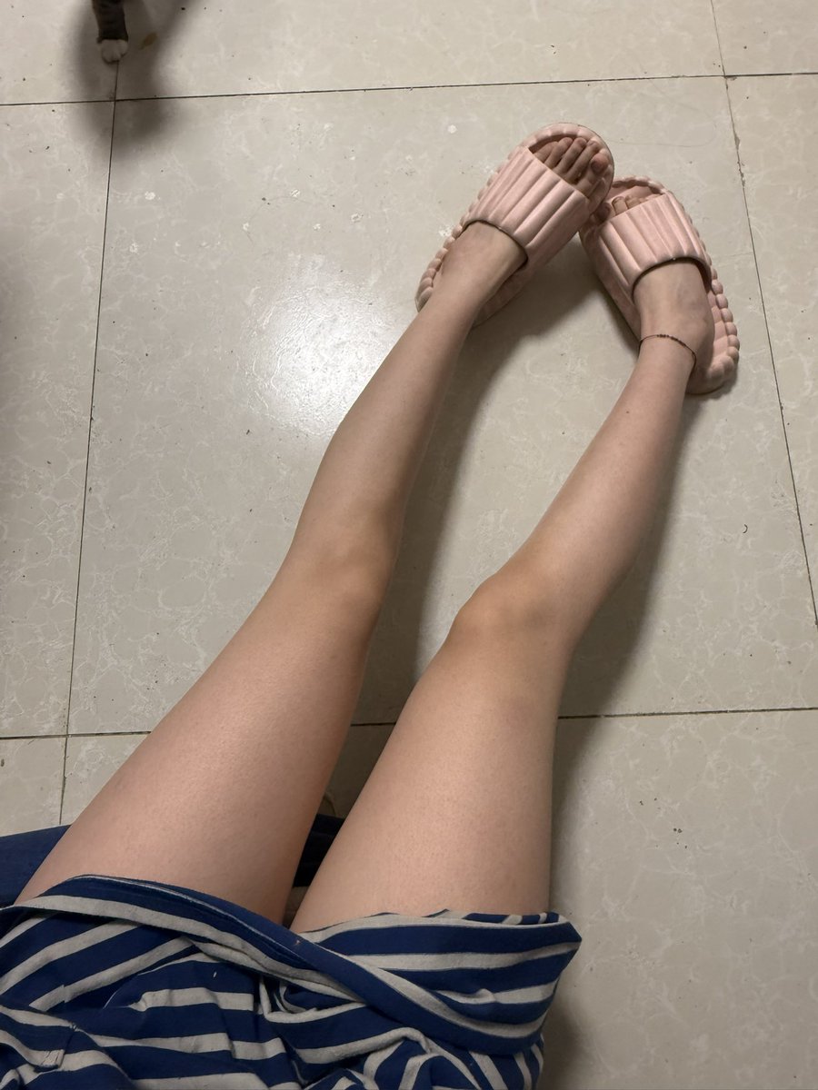 喵喵缘 tweet media
