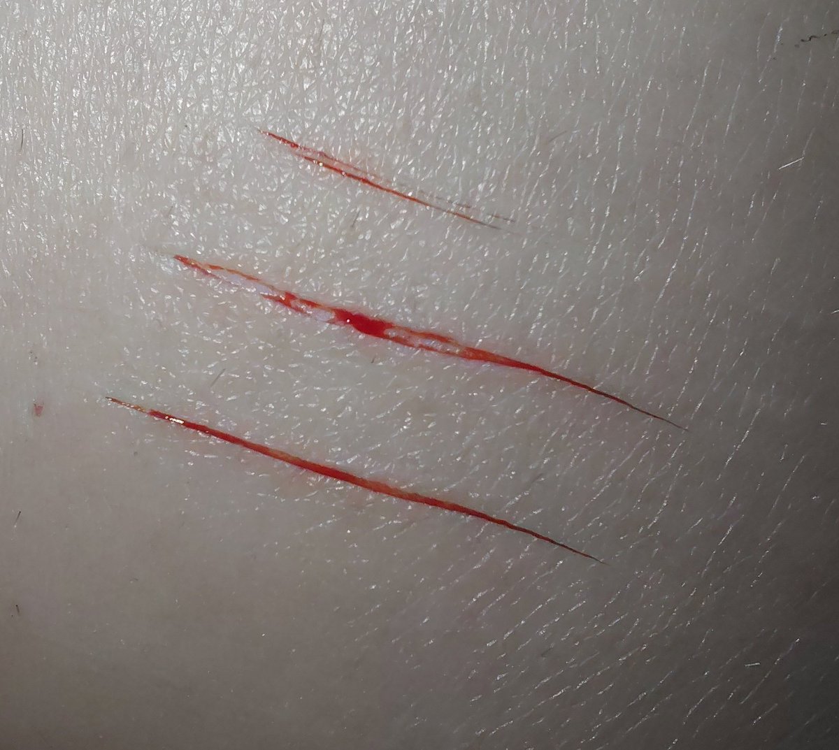 Sesh from earlier https://t.co/N2RF9efgrw