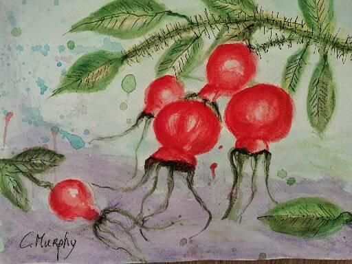 drcmurphy's tweet photo. Art of the Day! "Still life watercolour: Red hippies". Buy at: https://t.co/t8h5zKH32L https://t.co/f9i35bnbZD