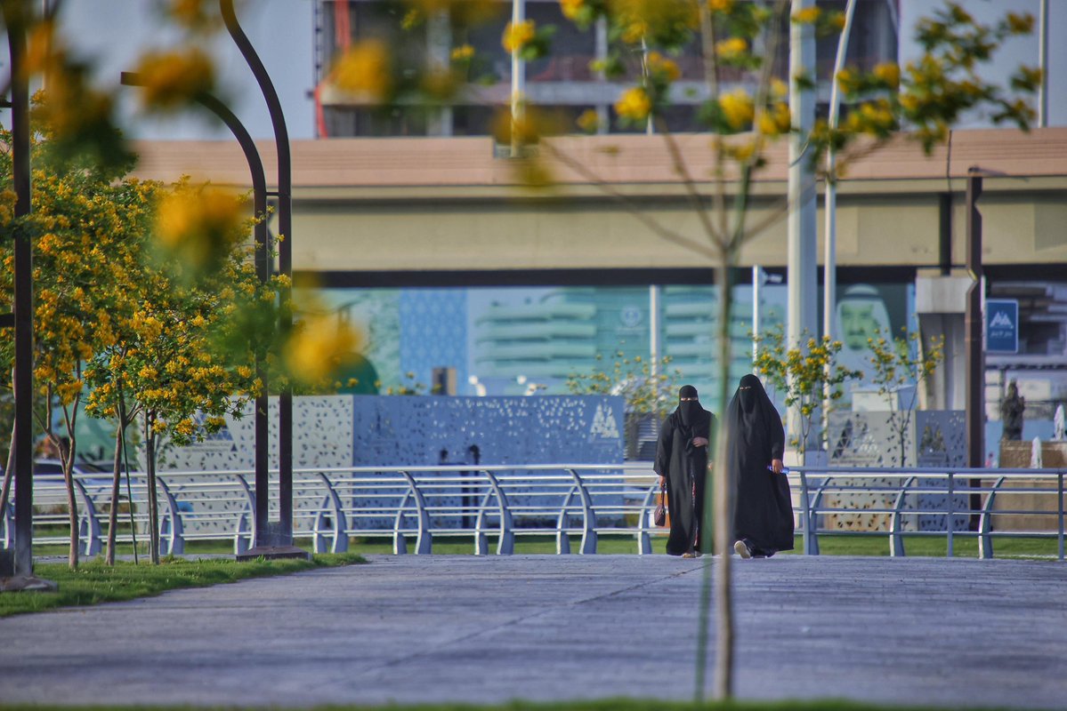 أمانة منطقة حائل tweet media