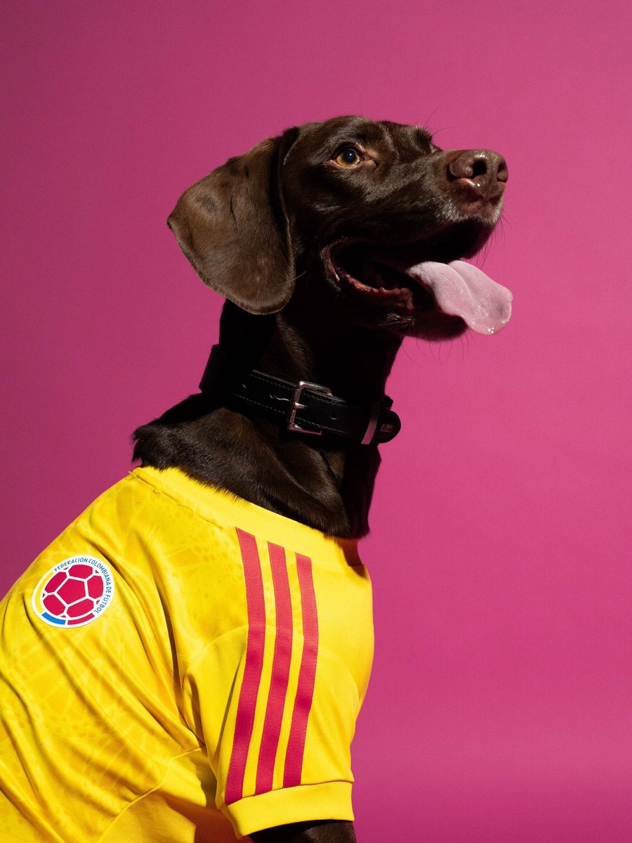 Marca de Gol tweet media