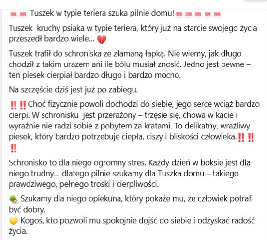 Robwalka Wolf tweet media