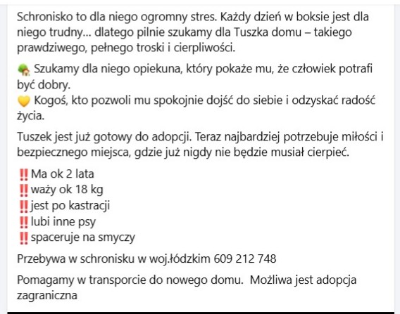 Robwalka Wolf tweet media