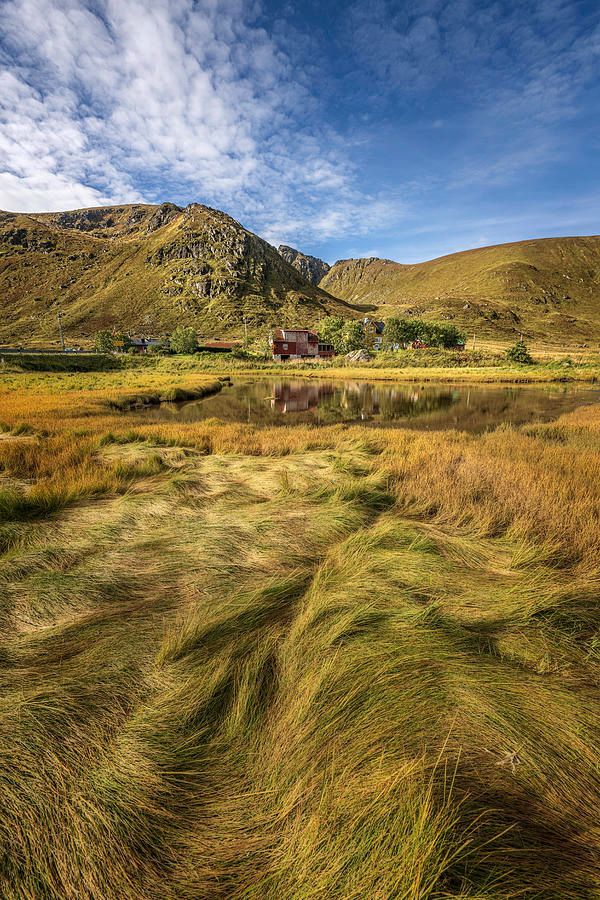 joancarroll's tweet image. Ytresand Lofoten Norway Landscape! buff.ly/3sCOGh0  #lofoten #norway #ytresand #grassy #landscape #reflections #landscapephotography #artforsale #wallartforsale #mountains #clouds #giftideas @joancarroll