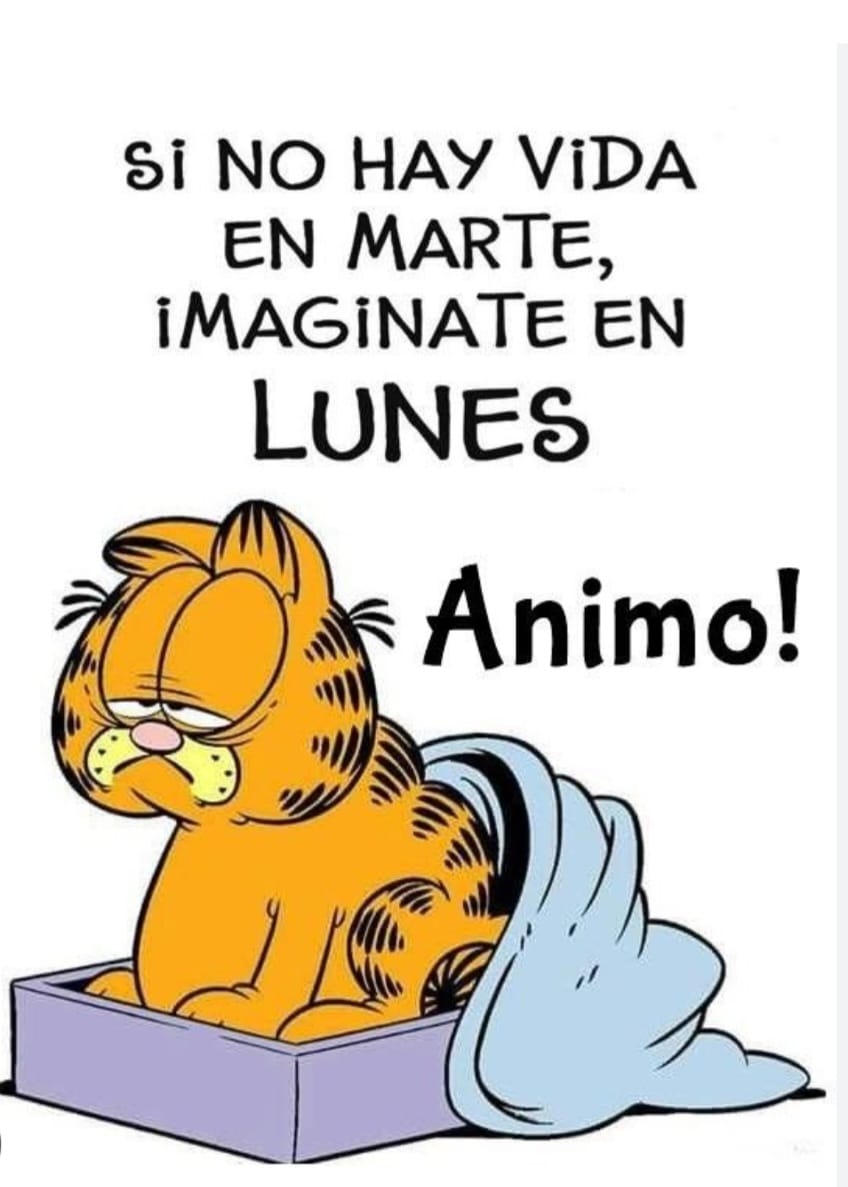 Conchi Ortega tweet media