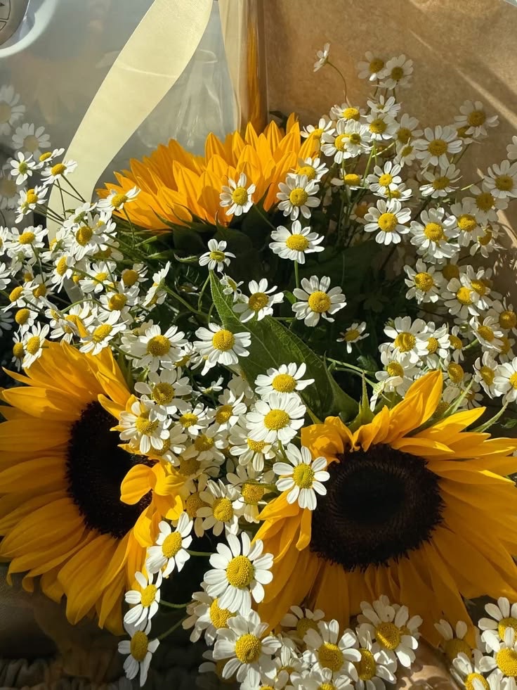 SUNFLOWER 🌻 tweet media