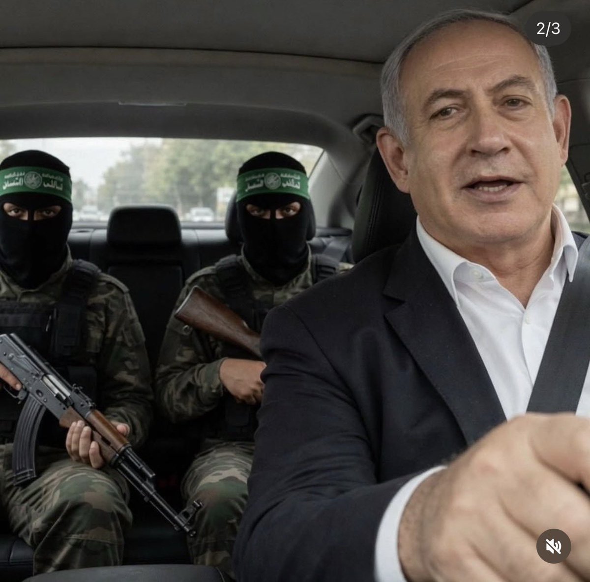 shilo ben zeev tweet media