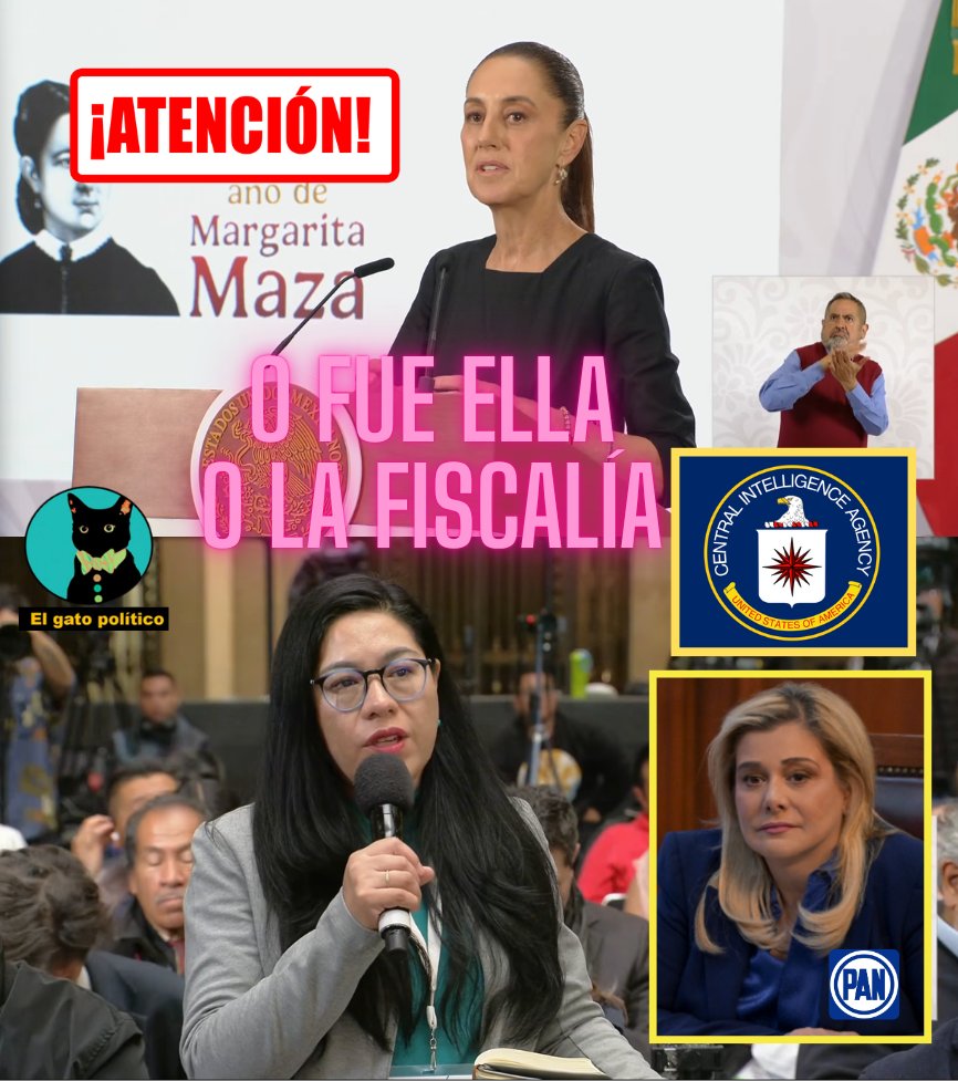 El gato político tweet media