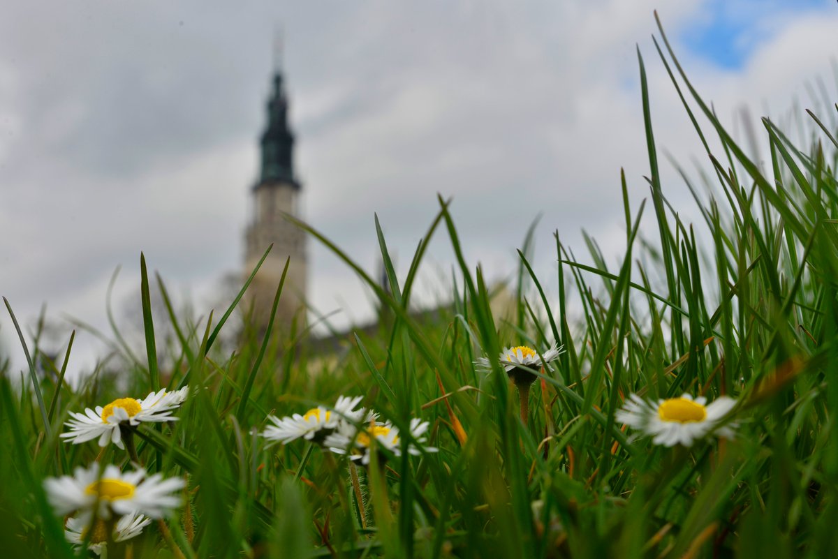 JasnaGoraNews's tweet image. 👉W tym tygodniu na #JasnaGóra: główne uroczystości Najświętszej Maryi Panny Królowej Polski – 2 V, Ogólnopolska Pielgrzymka Duchowej Adopcji Dziecka Poczętego, pierwszosobotnie zawierzenie Niepokalanemu Sercu Maryi -2 V, Pielgrzymka Stanu Wdów Konsekrowanych – 1-3 V.