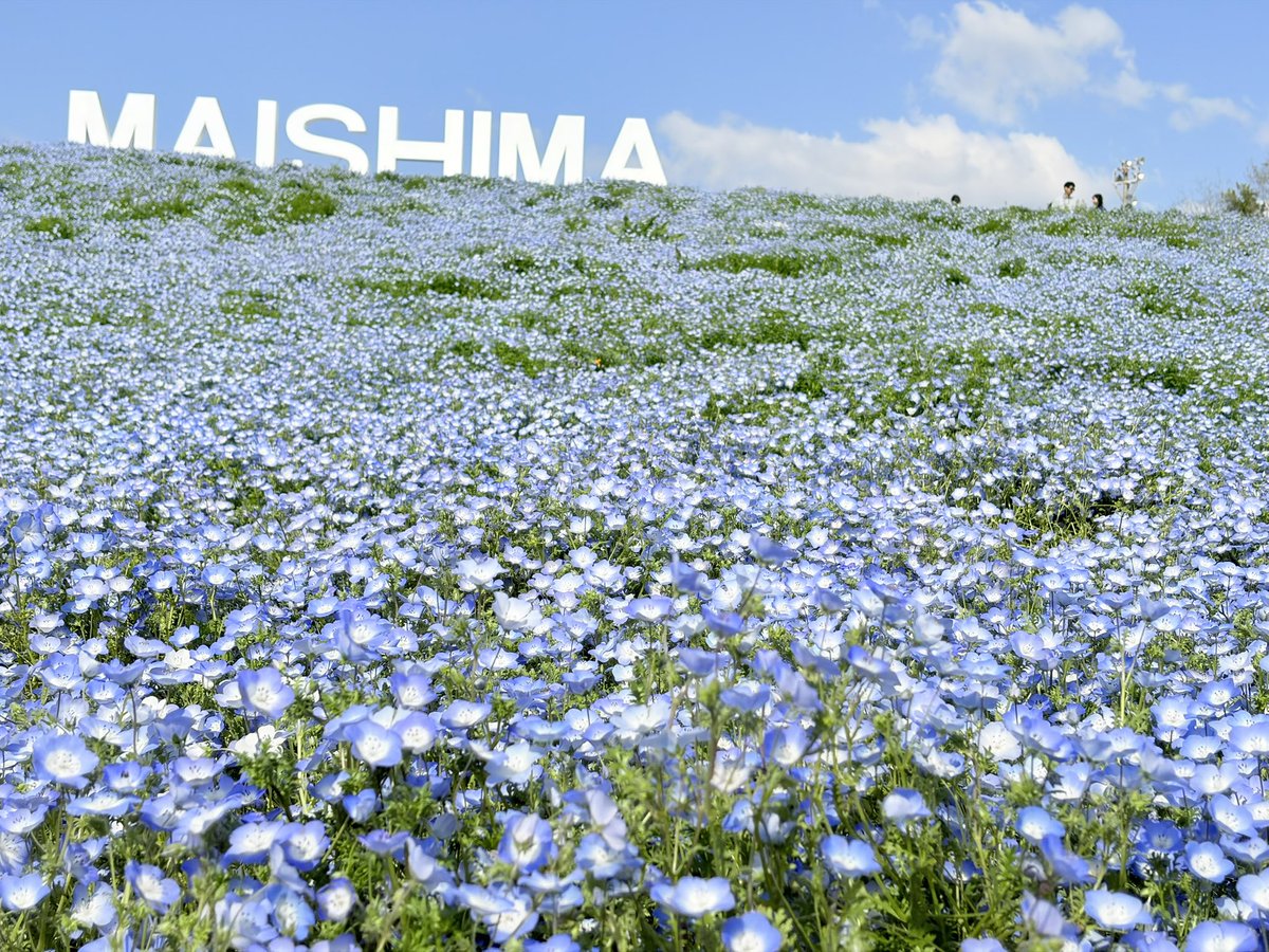 あげどり tweet media