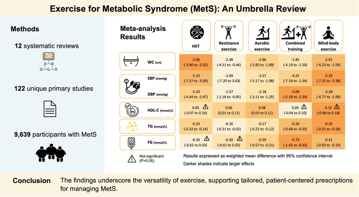 Efficacy of Exercise-Based Interventions for Metabolic Syndrome: An Umbrella Review With Meta-Analyses
onlinelibrary.wiley.com/doi/10.1111/ob…