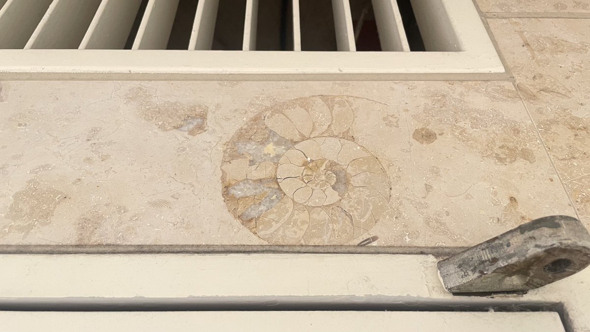 おいでよ名古屋@おいなご tweet media