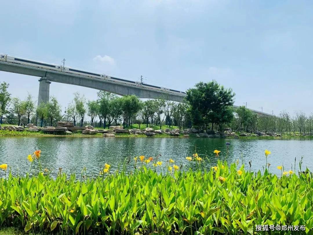 PIYAWUTTIYAPAN's tweet image. Woke up to birds + pine scent, not alarms. Tents up, s'mores sticky, stars bright. Pure escape.  #CampingVibes #NatureFix