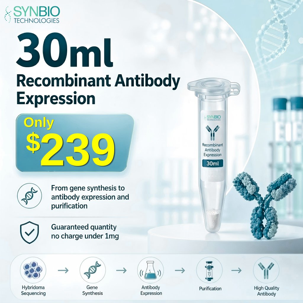 synbio_tech's tweet image. Recombinant antibodies are increasingly used for more consistent results in research labs 🧬
✨ 30 mL expression — $239
✔ Gene → purified antibody
✔ Guaranteed quantity
✔ No charge if yield &amp;lt; 1 mg
👉hubs.la/Q04dw93-0

#biotech #antibodies #proteinexpression