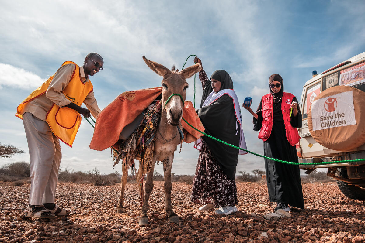Save the Children in Somalia tweet media