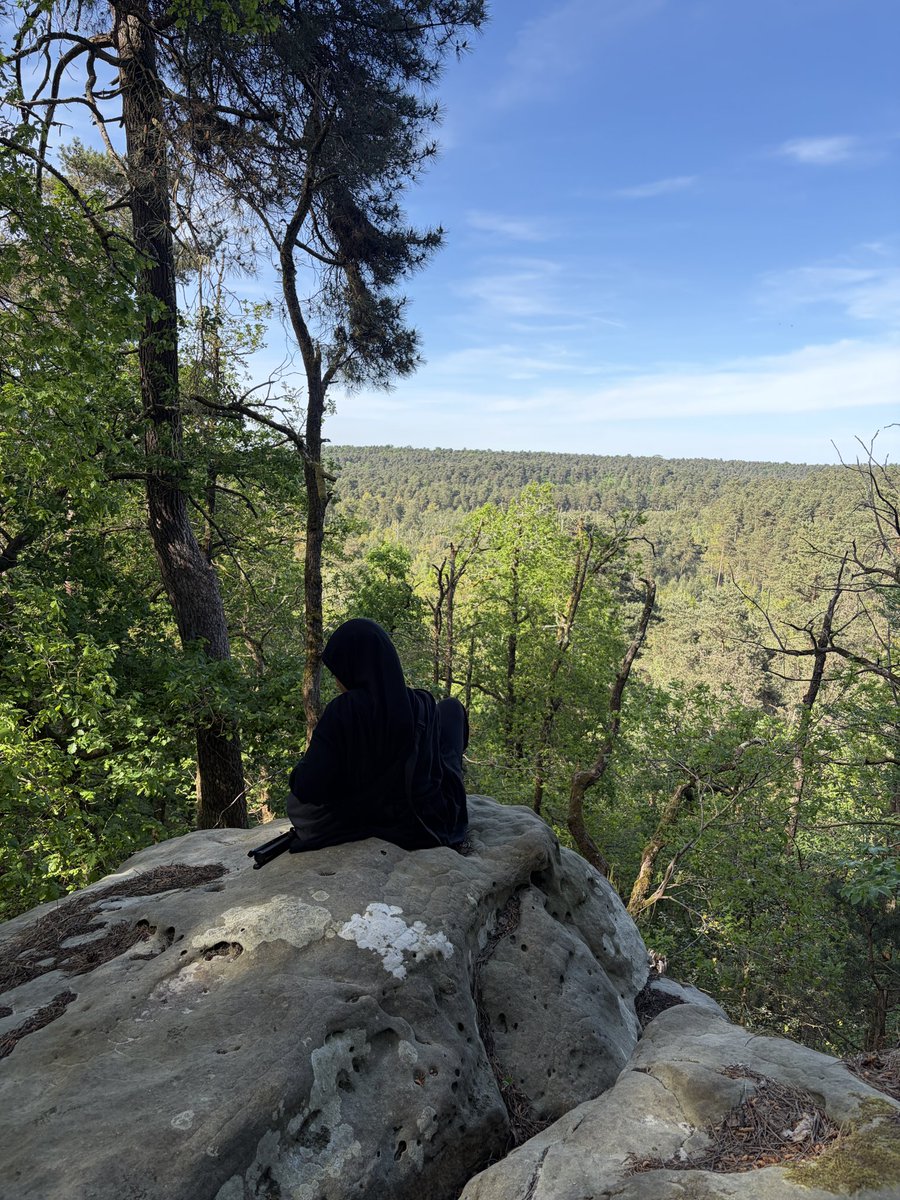 𓂃۶ৎ tweet media