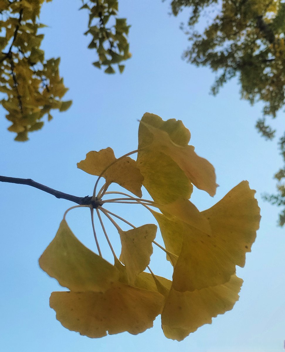 Mike Williams  tweet media