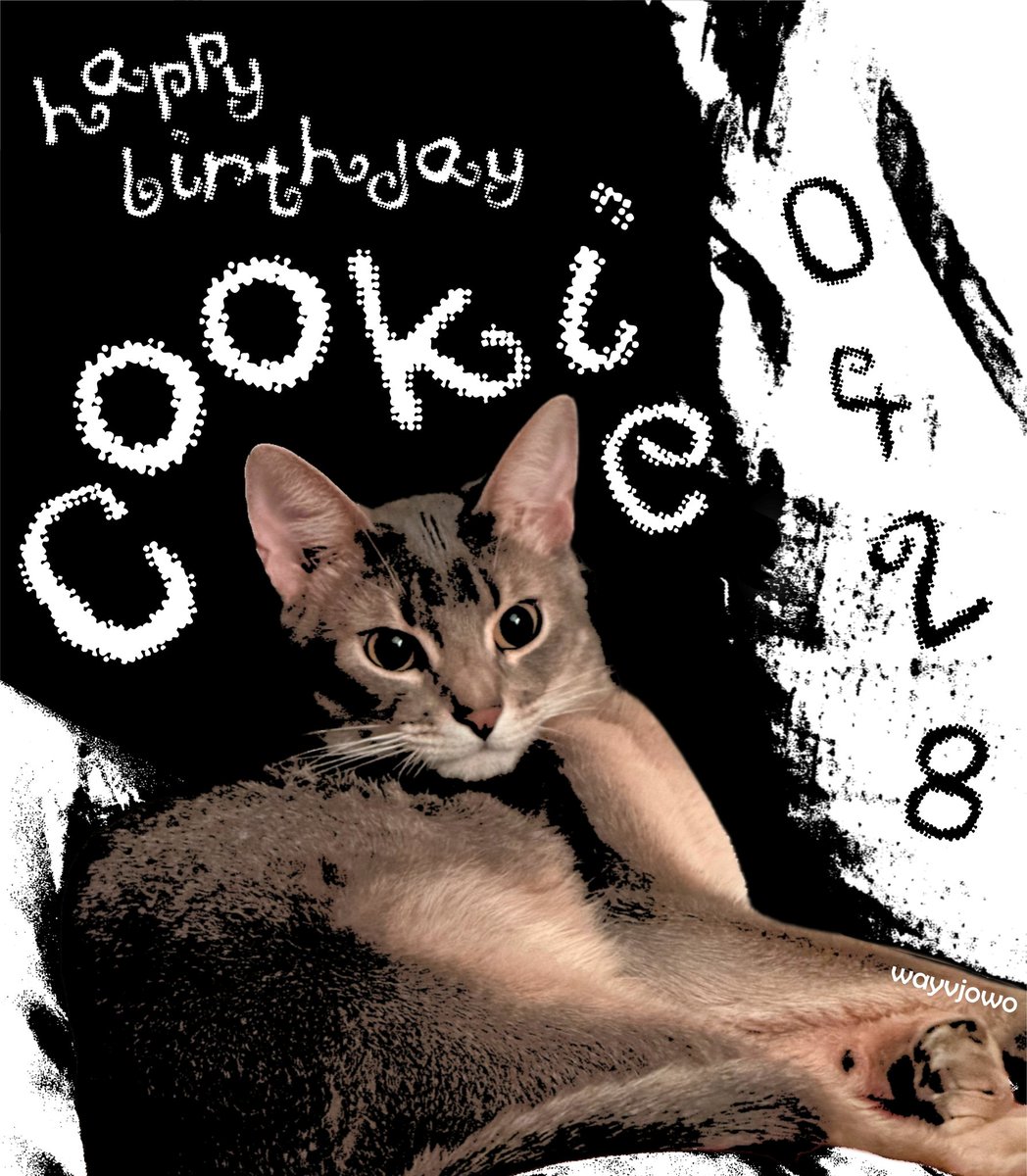 🎂 SUGENG AMBAL WARSA, COOKIE 🎂

#HAPPYCOOKIEDAY