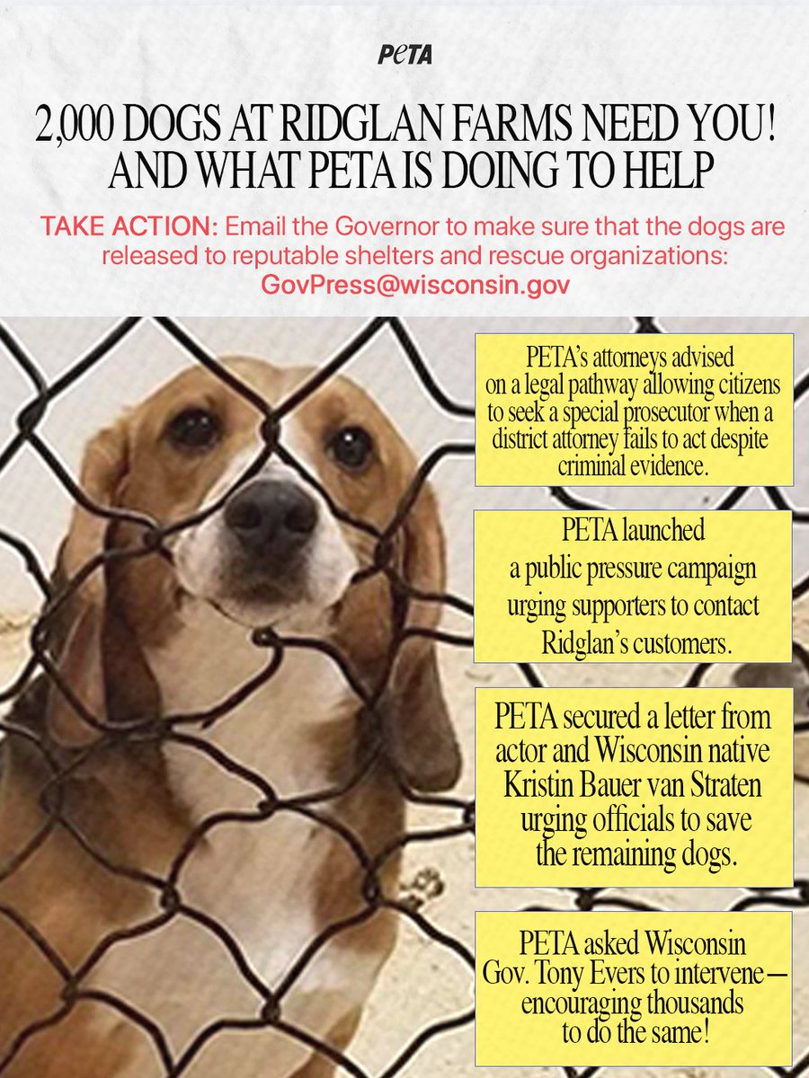PETA tweet media