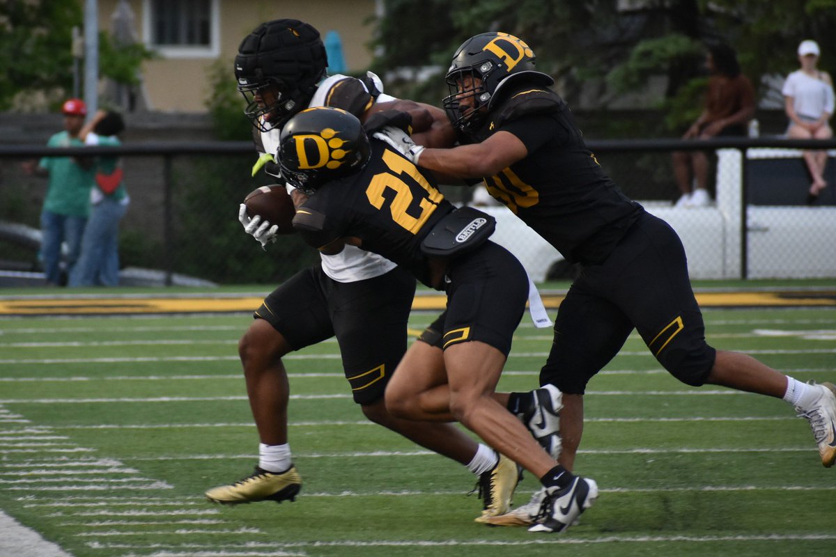 Ohio Dominican Football tweet media
