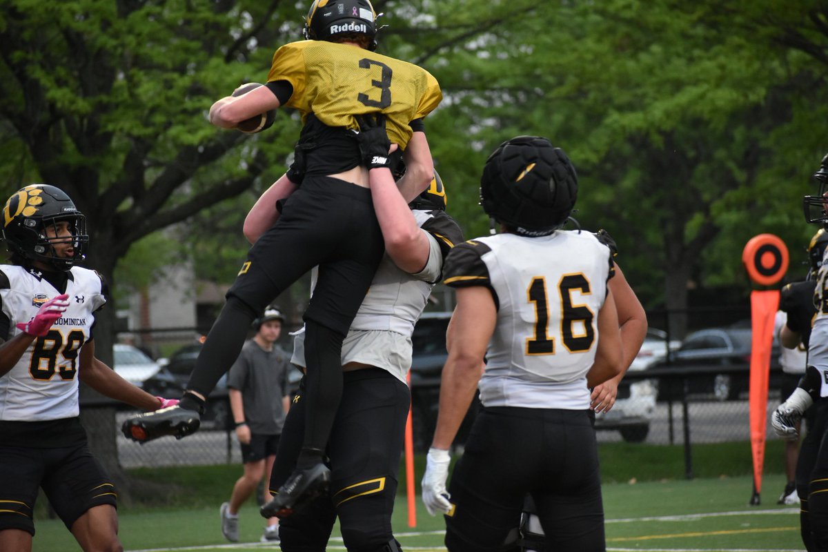 Ohio Dominican Football tweet media