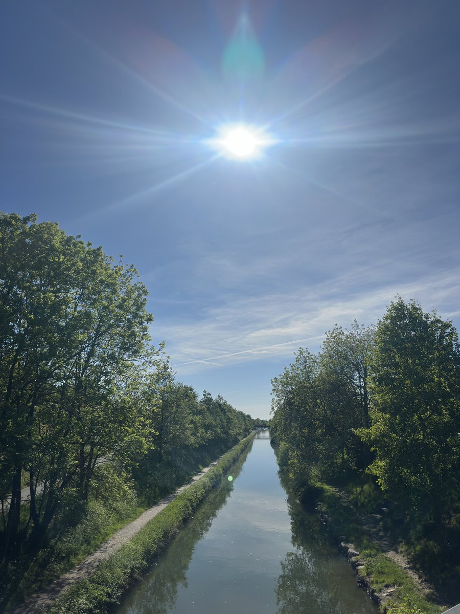 Bobig | ボビグ tweet media