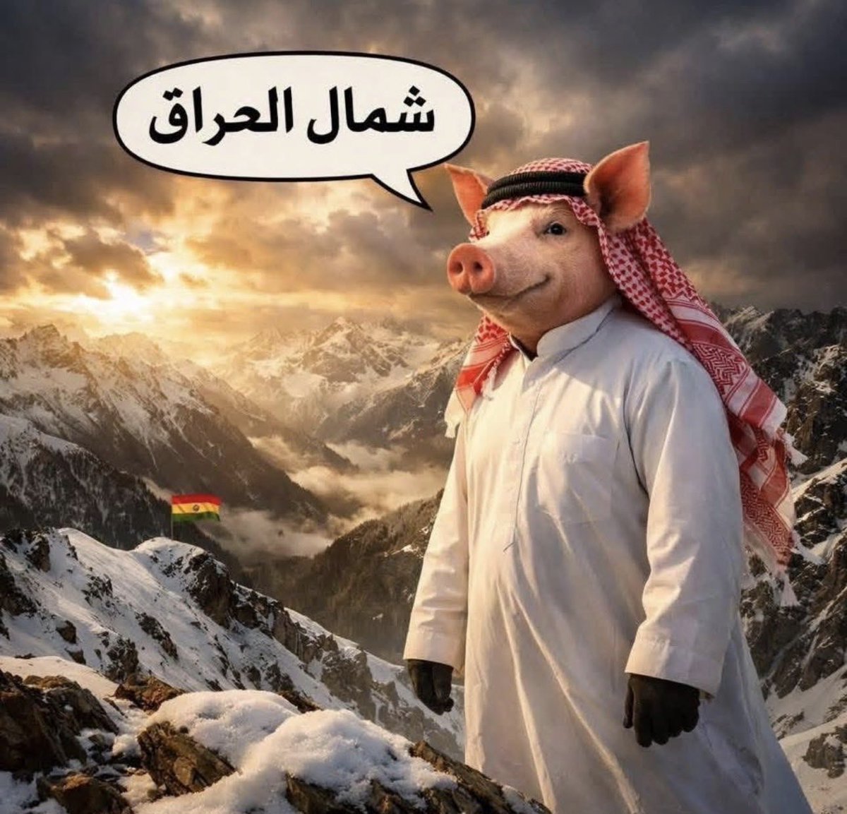 ابن كوردستان tweet media